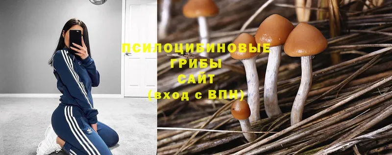 кракен ССЫЛКА  Инза  Псилоцибиновые грибы Magic Shrooms 